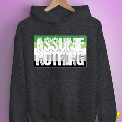 Assume Nothing Aromantic Pride Flag Hoodie - Dark Grey Heather